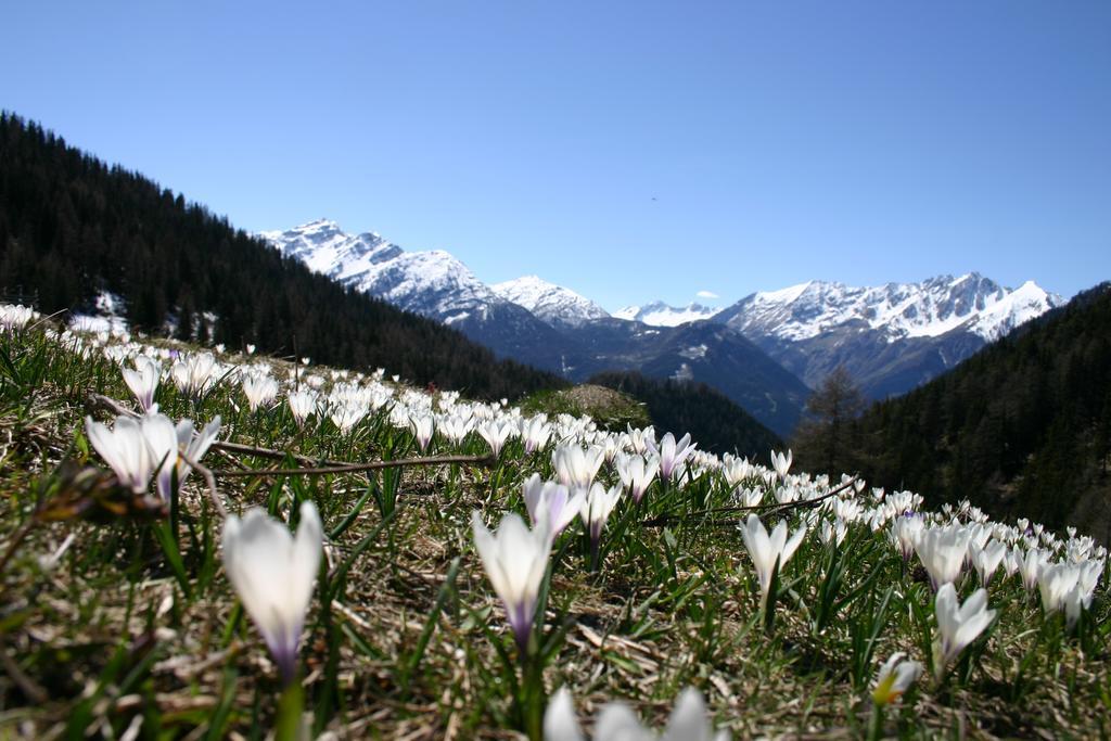 Baita La Jolie Bergere ลาซัลเล ภายนอก รูปภาพ